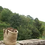 An Apartment In A 17Th Century Wine Grower S House Апартаменты Рикевир