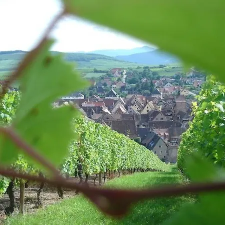 Appartement An In A 17th Century Wine Grower S House