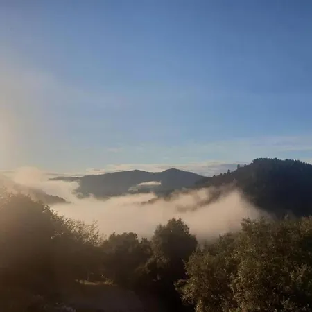 Apartment In Riquewihr Near Vineyards דירה