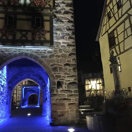 דירה Apartment In Riquewihr Near Vineyards