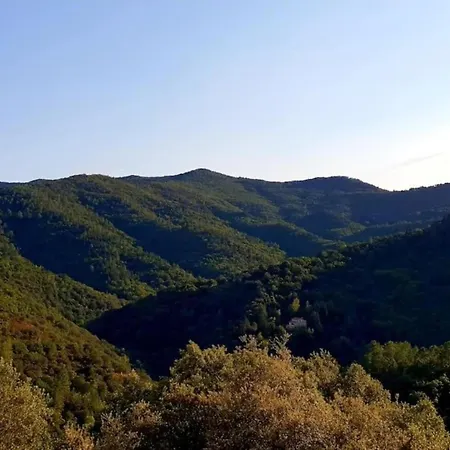 Apartment In Riquewihr Near Vineyards * ריקוויר