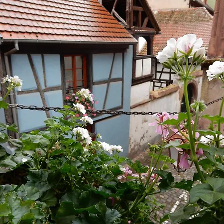An In A 17th Century Wine Grower S House Appartamento Riquewihr