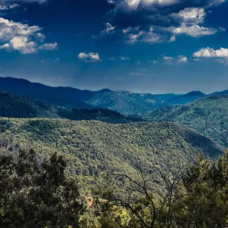 Apartment In Riquewihr Near Vineyards *