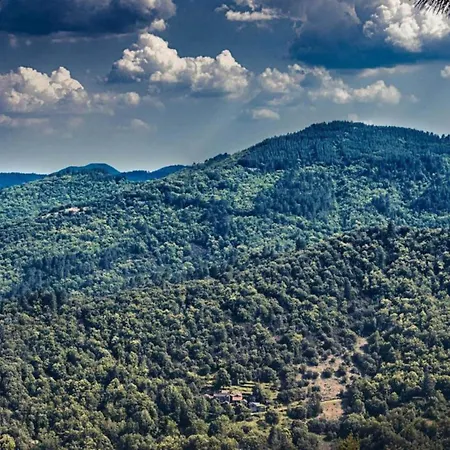Lägenhet Apartment In Riquewihr Near Vineyards *