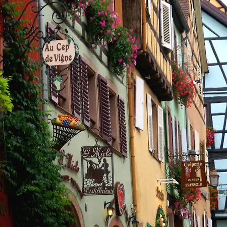 Lägenhet Apartment In Riquewihr Near Vineyards *