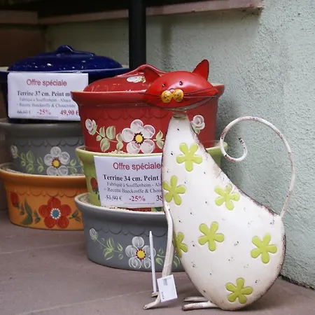 Apartment In Riquewihr Near Vineyards