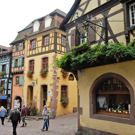 Apartment In Riquewihr Near Vineyards