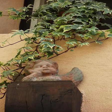 An In A 17th Century Wine Grower S House *