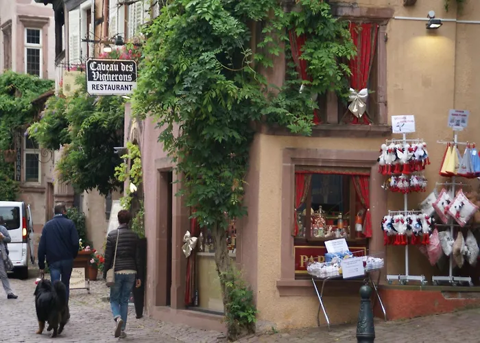 An Apartment In A 17Th Century Wine Grower S House 아파트 리크위르